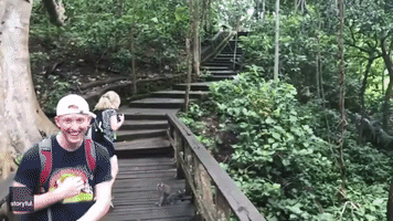 Monkey Leaps on Unsuspecting Tourist