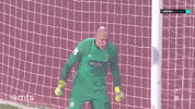 Partizan GIF by sportmts
