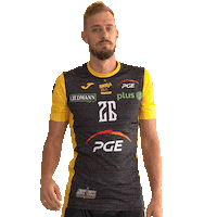 Belchatow Sticker by PGE Skra Bełchatów