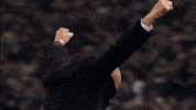 happy come on GIF by AS Roma