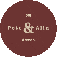 Austin Damon Sticker by Pete & Alia