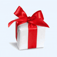GIF by Burrata House
