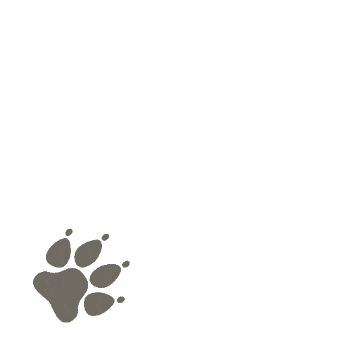 VetPartners giphyupload dog paw vet Sticker
