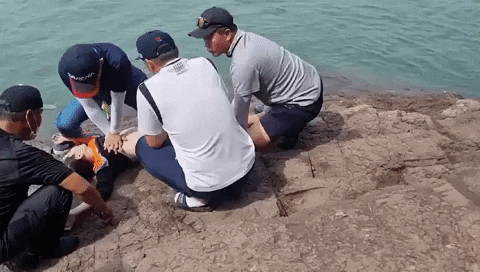 lws922 giphyupload GIF