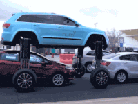 traffic speak GIF