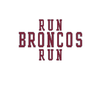 Go Broncos Sticker by Santa Clara Broncos
