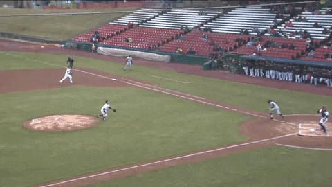 Pitcher Gocougs GIF by Kane County Cougars