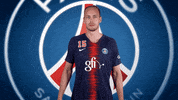 hey you hello GIF by Paris Saint-Germain Handball