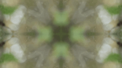 Art Love GIF by jorgemariozuleta