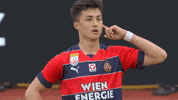 Rapid Wien Var GIF by SK Rapid