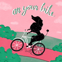 Happy Spring GIF