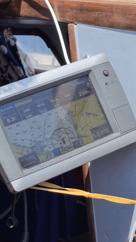 roxandyo giphyupload GIF