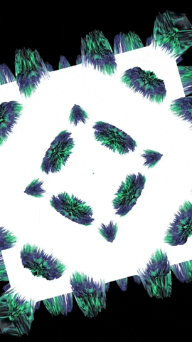 Fashion Ar GIF by Aleksey Efremov