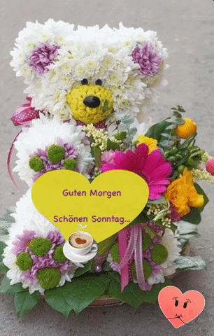 Monicolus giphyattribution GIF