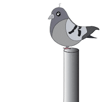 Pidegeon Sticker