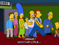 homer simpson shock GIF