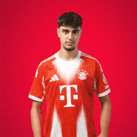 Heart Love GIF by FC Bayern Munich