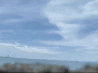 Footage Oaf GIF by jorgemariozuleta