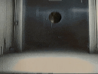 Footage Oaf GIF by jorgemariozuleta