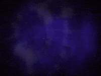 Squirrel Monkey 80S GIF