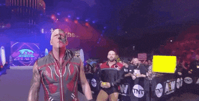 Andy Williams Bunny GIF by All Elite Wrestling on TNT