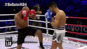 GIF by Bellator