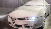 Eighty8Customs  GIF