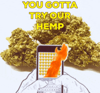 Georgetownhemp  GIF