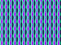 pattern jitter GIF by Paula Morales