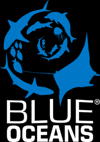 diveschool scuba diving ssi diving center diving school GIF