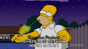 Episode 4 GIF by The Simpsons
