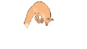 Mayanksuyal happy fun animal jumping Sticker