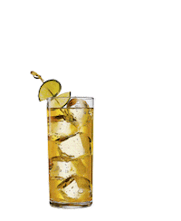 Cheers Celebrar Sticker by SIA Scotch Whisky