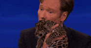 Conan Obrien Cub GIF by Team Coco
