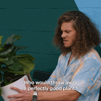 Blake Gunther GIF by HULU