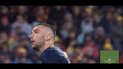 afl GIF by Adelaide Crows