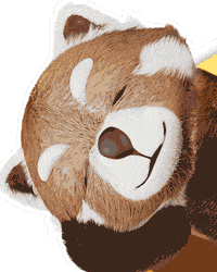 Tanuki Sticker by DeliandCo