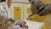 amy sedaris cooking GIF by truTV’s At Home with Amy Sedaris
