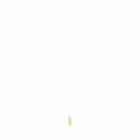 TropicalAW  GIF