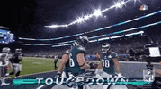 Super Bowl Football GIF by NFL