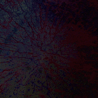 GIF by Joe Winograd