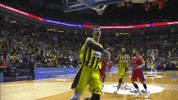 lets go basketball GIF by EuroLeague