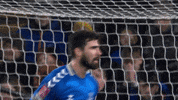 Premier League Soccer GIF by Everton Football Club