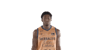 Liga Endesa Basketball Sticker by ACB
