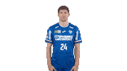 Handball-Bundesliga Handball Sticker by LIQUI MOLY HBL