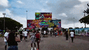 Live Music Festival GIF by Contrast Magazine