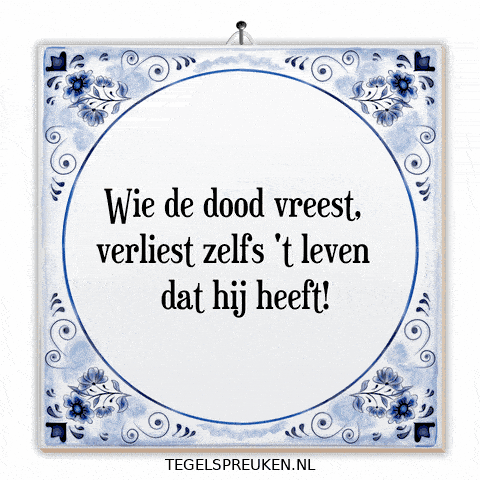 Humor Nl GIF by Tegelspreuken.nl