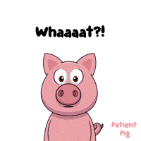 Wait What GIF by VeeFriends