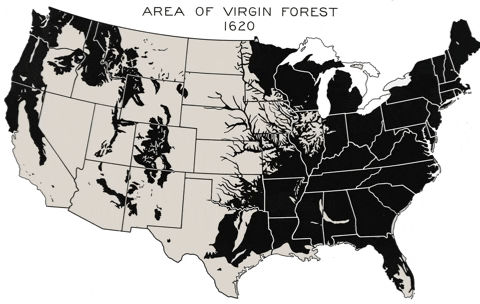 motoktm7 giphygifmaker forest map deforestation GIF