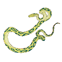 LeQuartierAnime snake 2danimation animatedillustration hellfest2022 Sticker